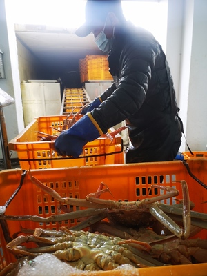 新春走基層丨“蟹”逅琿春 海產品加工探秘
