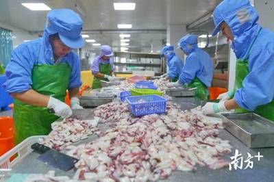 南澳島羊嶼村 幫扶助力海產品加工發展，貧困戶全部實現脫貧增收