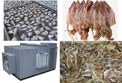 海產品烘干選擇空氣能熱泵烘干設備的重要性 提升品質與效益的關鍵