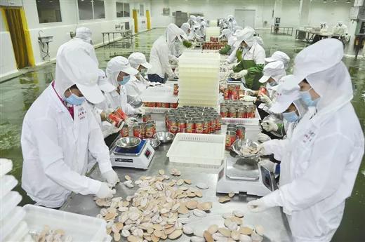 金花茶香飄邊陲，海陸門戶涌商機——探訪活力迸發(fā)的東興邊境經(jīng)濟合作區(qū)