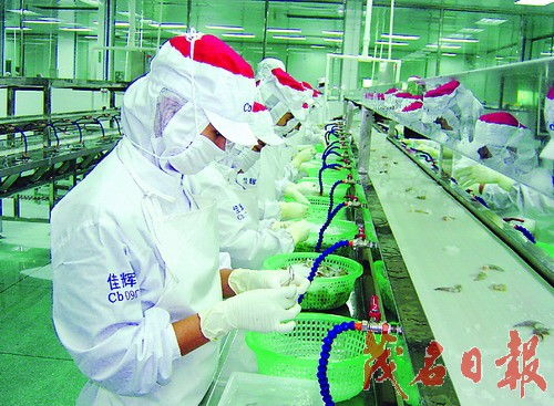 工業(yè)立縣 建設(shè)粵西經(jīng)濟強縣 海產(chǎn)品加工產(chǎn)業(yè)的戰(zhàn)略引擎