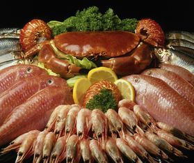 海產品加工廢水治理挑戰與解決方案概述