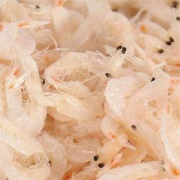 蝦皮價格解析與富華海產品加工廠的從化優勢